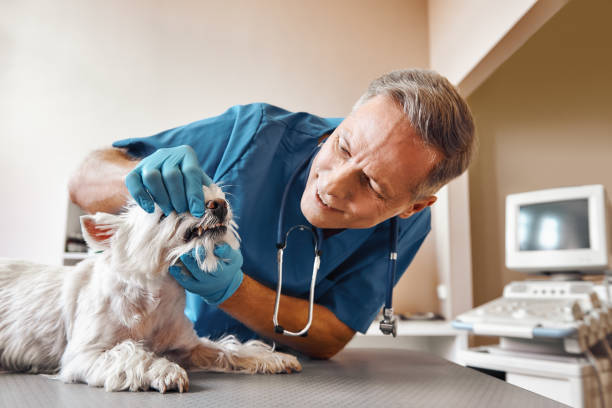 Best 24-Hour Emergency Dentist in Woodlynne, NJ